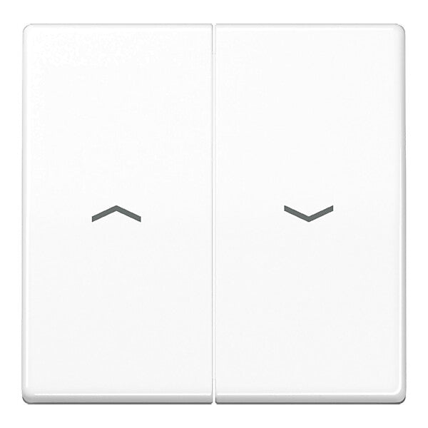 JUNG Wippe Symbole aws für Taster AS 591-5 P WW
